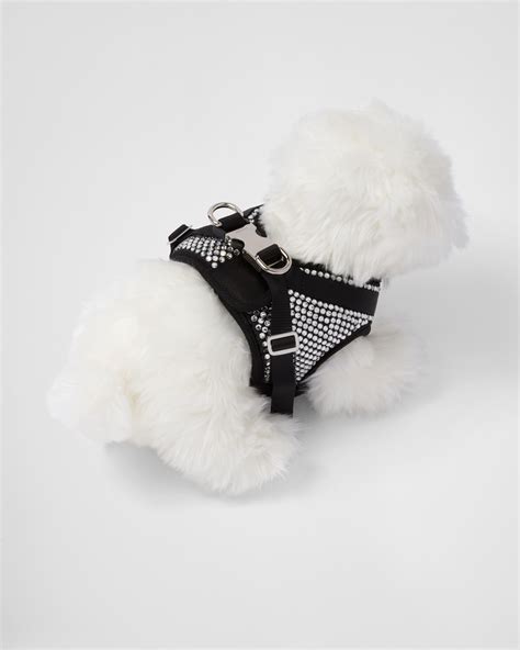 prada collier chien|prada leather dog bag.